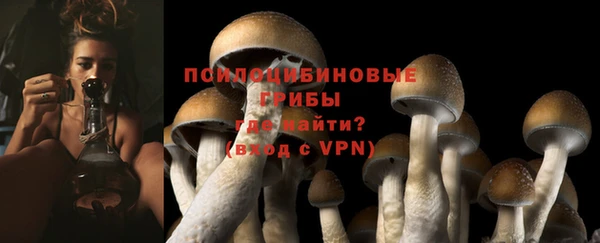 первитин Арсеньев