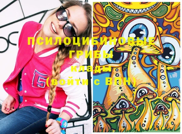 шишки Армянск