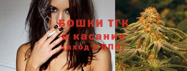 шишки Армянск