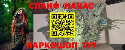 бошки Новодвинск