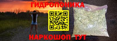 бошки Новодвинск