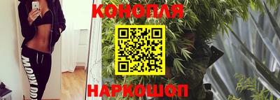 бошки Новодвинск