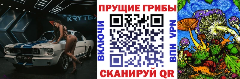 omg ссылка Георгиевск Галлюциногенные грибы прущие грибы