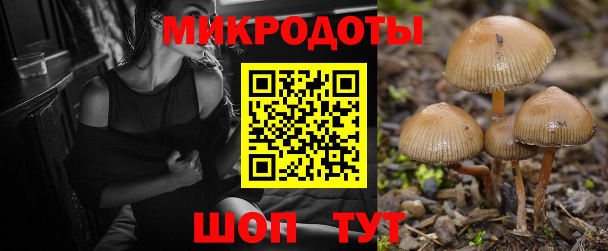 Георгиевск  Галлюциногенные грибы ЛСД  Галлюциногенные грибы Cubensis  Вход с VPN 
